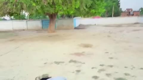 Funny video