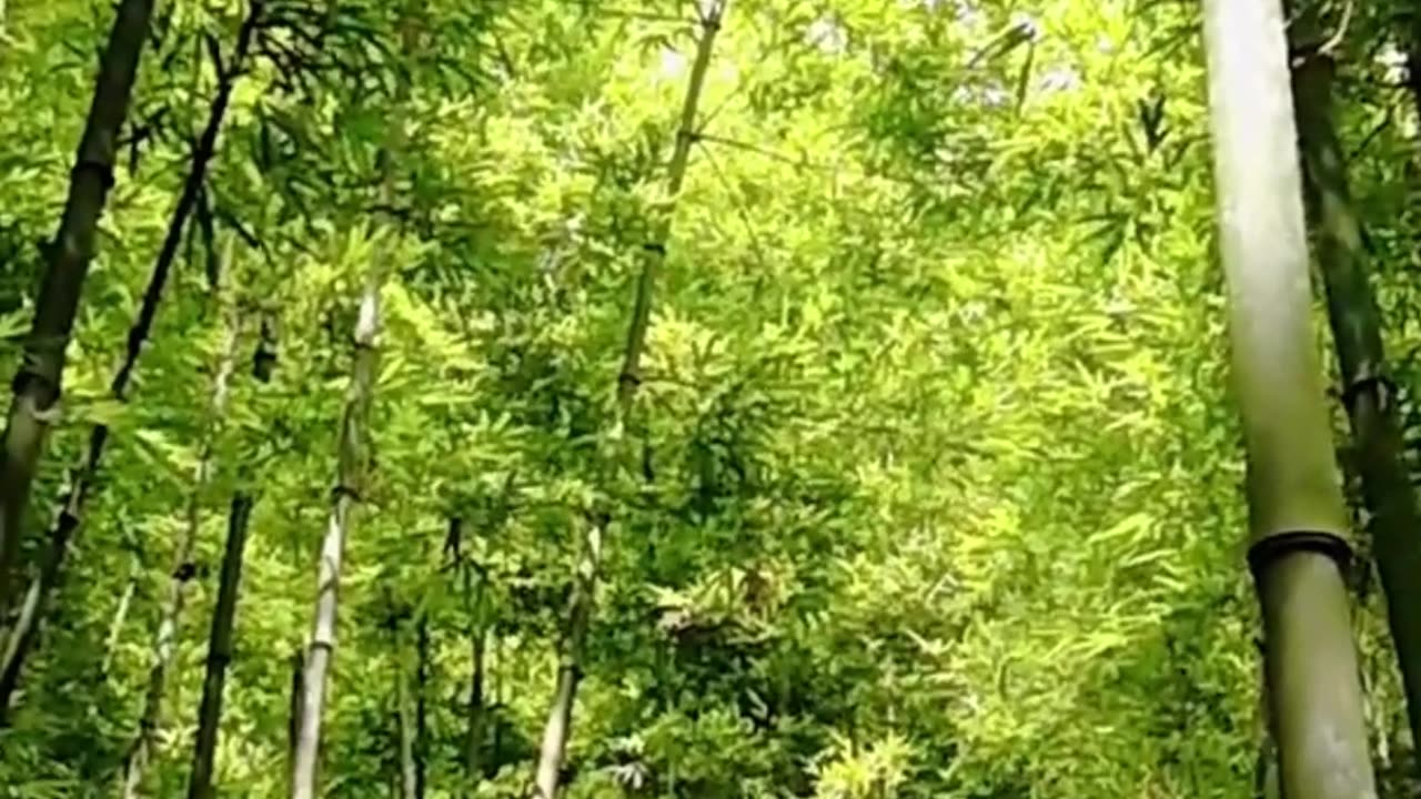 Each step has a purpose in your journey.