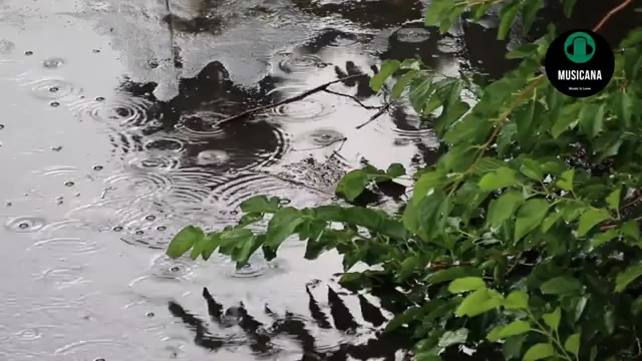 Nature Relaxing Music