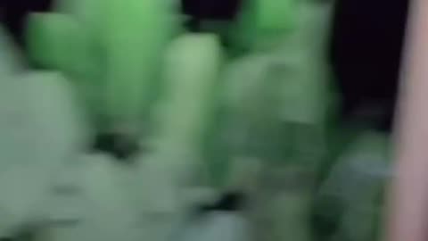 😱💀 This Ghost Will Give You Nightmares! The Pocong | TheHauntingHour