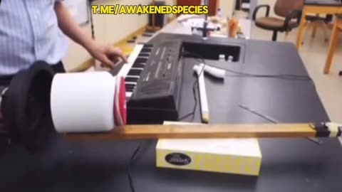 A Simple Device You Can Build To Make Invisible Spind Waves Into Visible Patterns