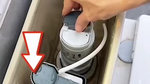 Locked flush button