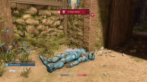 Halo Live Stream
