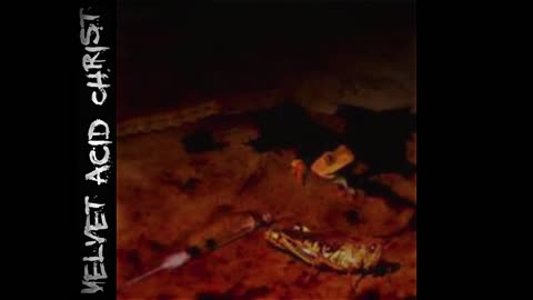 VELVET ACID CHRIST - Compilation #1: 1994 - 1995
