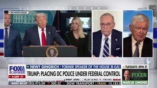 Newt Gingrich sounds alarm over ENORMOUS THREAT posed to US cities