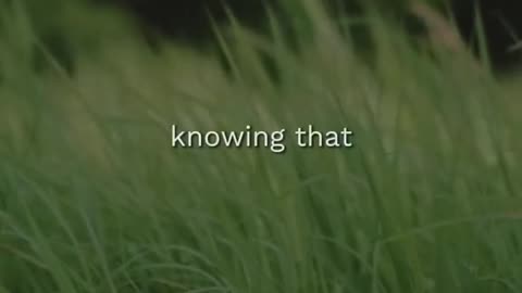 🙏🕊️ Glorify God | Prayer & Praise for Every Heart | InGodWeTrustDaily