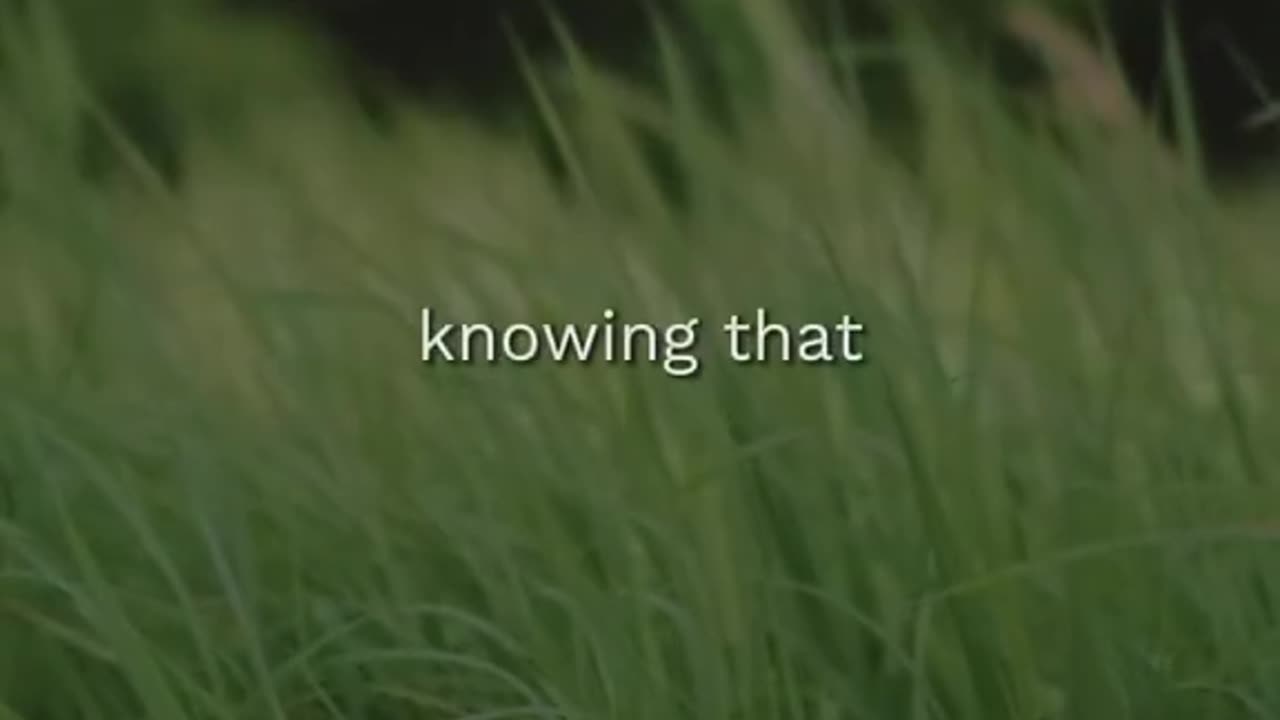 🙏🕊️ Glorify God | Prayer & Praise for Every Heart | InGodWeTrustDaily