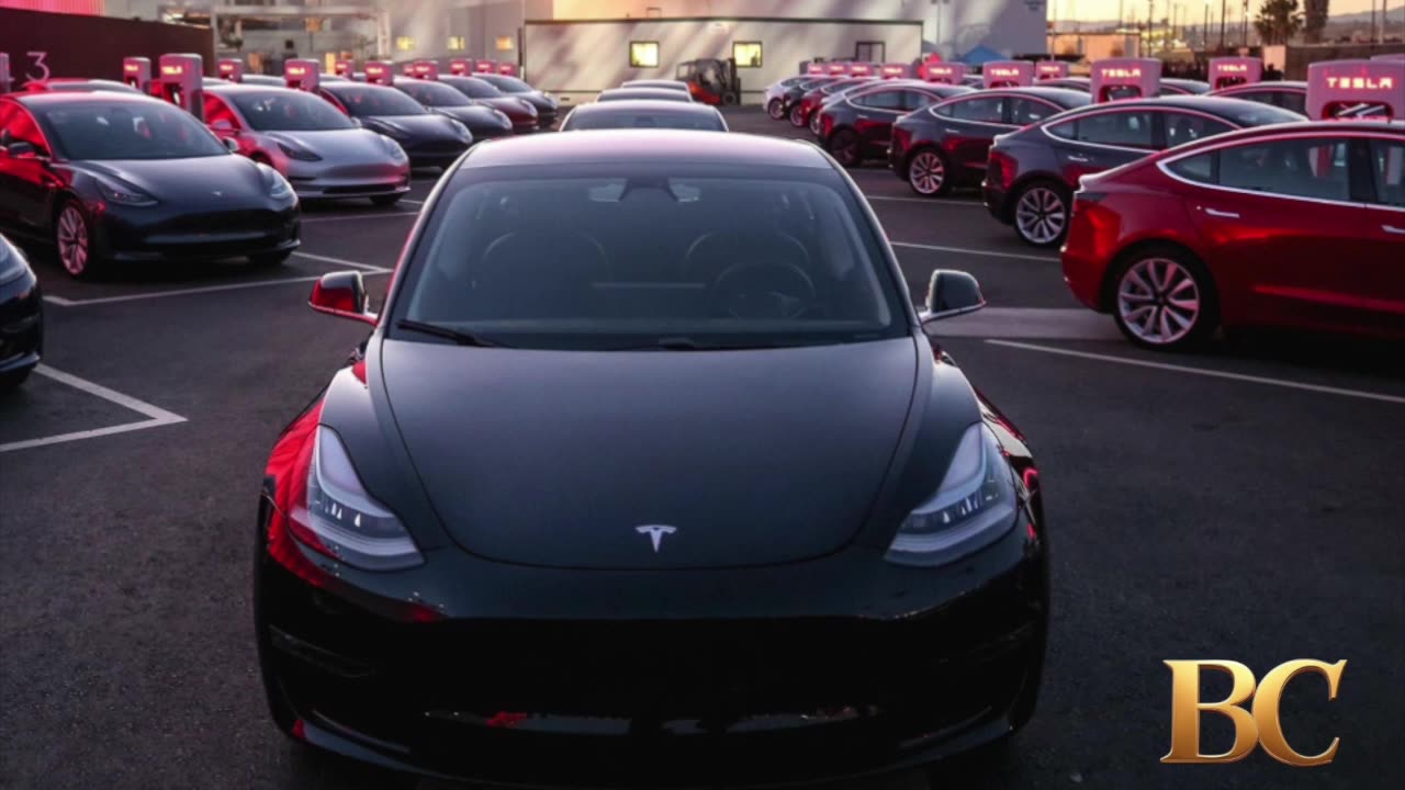 Hackers release names and addresses of every Tesla owner in the US