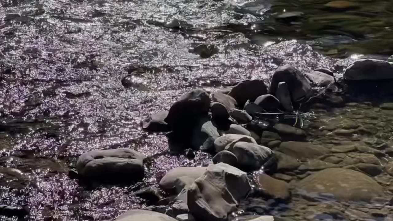 Nature is Calming