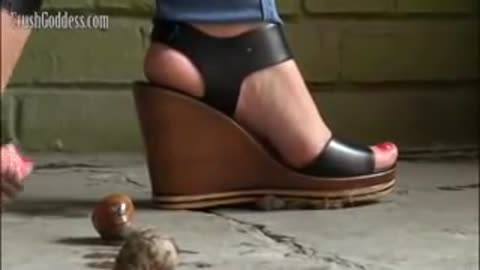 Snails on the Stairway