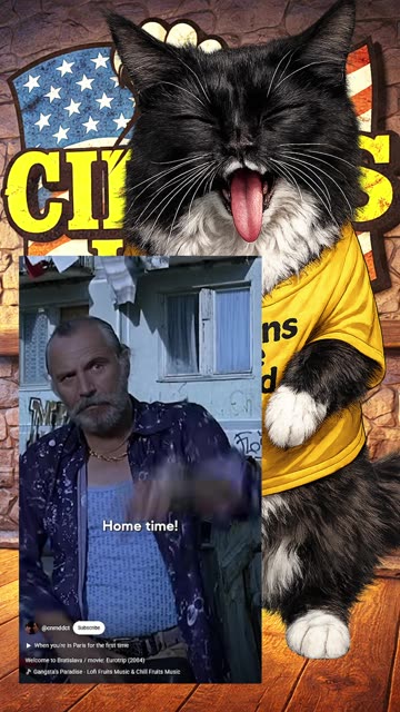 You Americans Have a Weird View of the World 😹