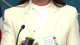 Tulsi Gabbard confronted by reporter: Why wasn't this out during Trump's first term?