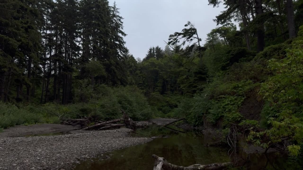 Calming Ruby Beach Serenity: Nature’s Coastal & Forest Harmony