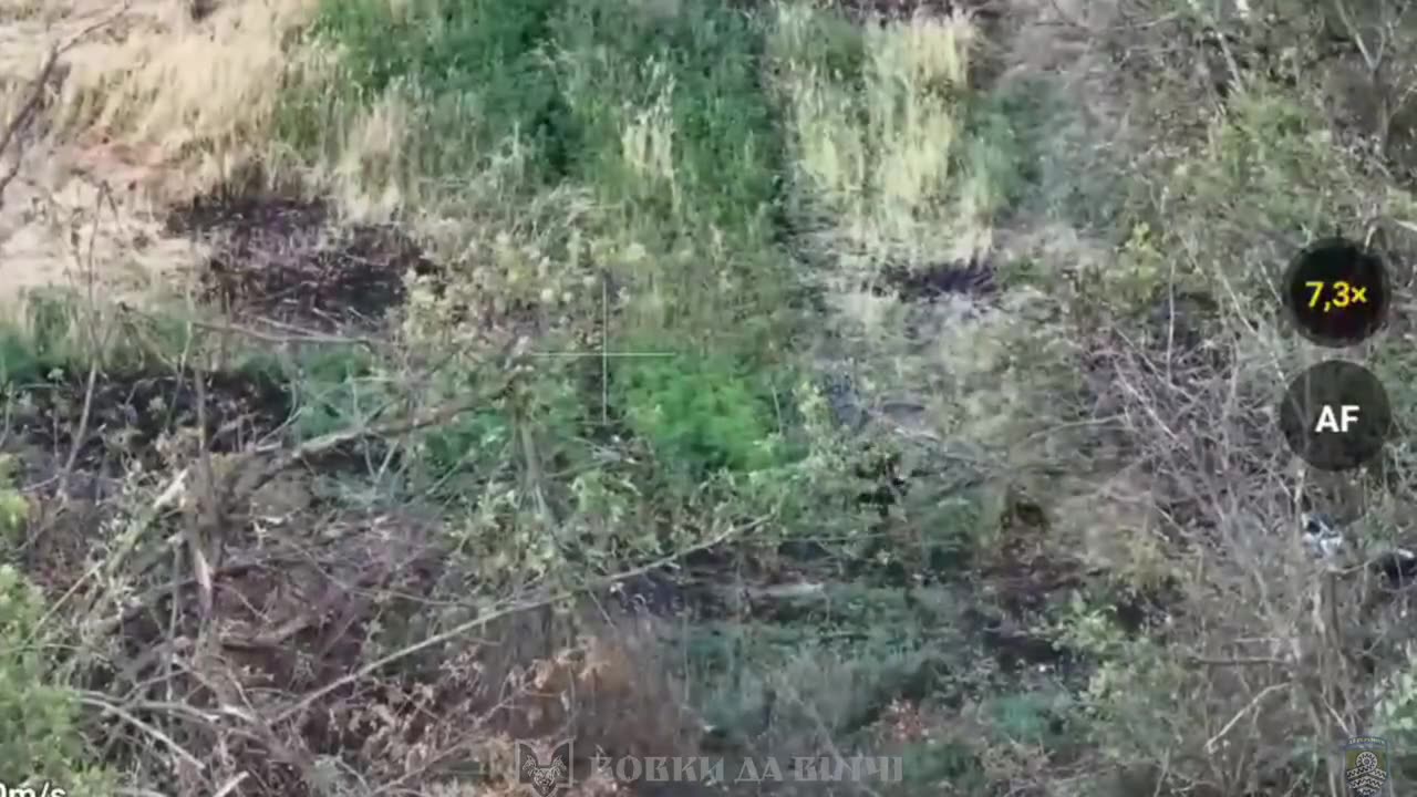 Entire Squad is Obliterated by Ukrainian Bomber Drones