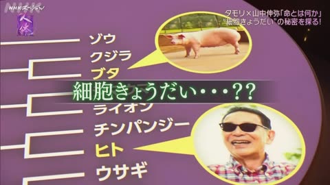 NHKスペシャル 人体Ⅲ 第3集 命のつながり 細胞40億年の旅