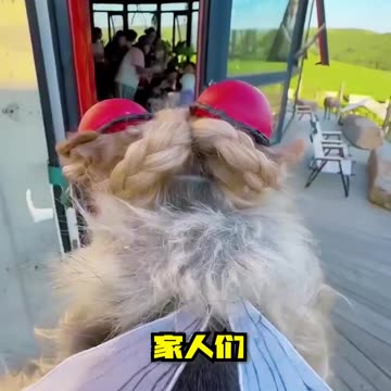 📹 Trending Chinese Viral Videos | Funny, Emotional & Shocking Moments