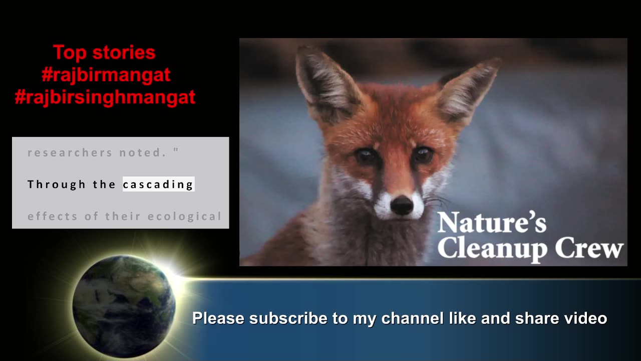 Natures clean-up crew is vanishing – and its bad news for human health