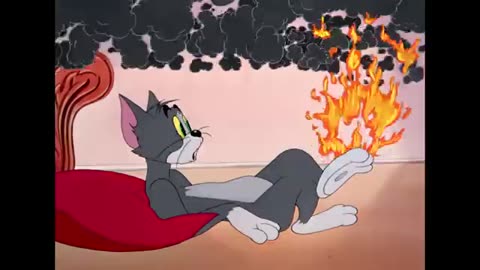 Tom y Jerry en Español | Año nuevo, misma pareja | WB Kids