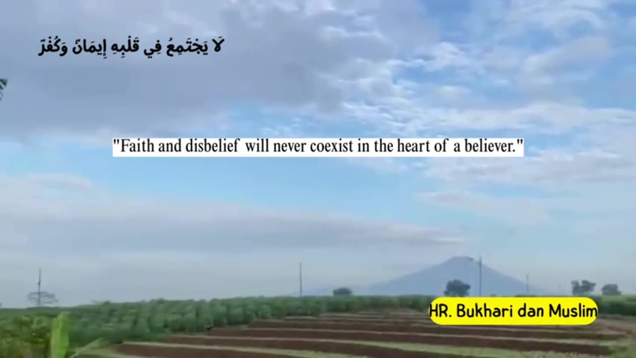 Partly about the Islamic religion 28