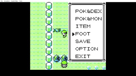 YELLOW NUZLOCKE DAY 1