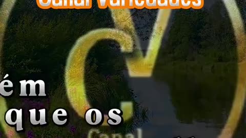 Reflexão
