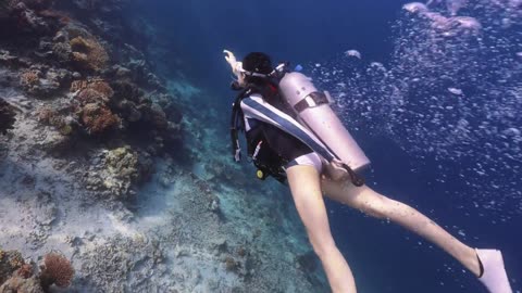 寸当世界上只剩自己的呼吸声 ＃水肺潜水 #仙本那