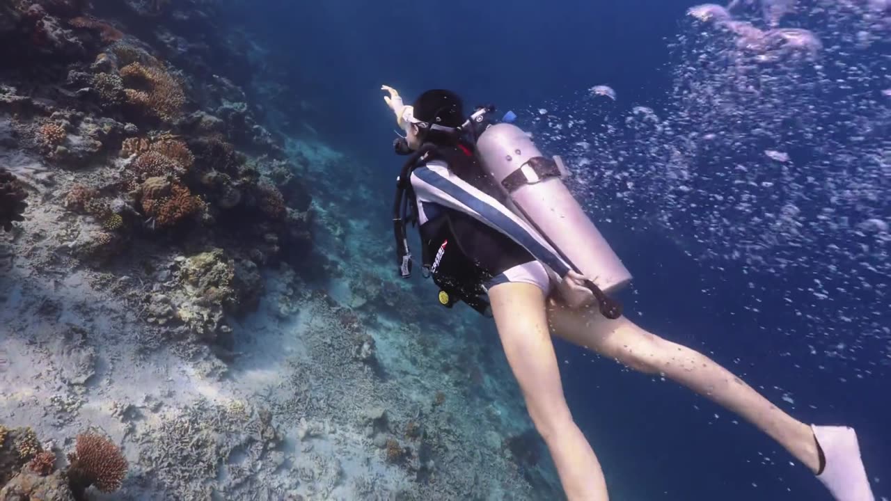 寸当世界上只剩自己的呼吸声 ＃水肺潜水 #仙本那