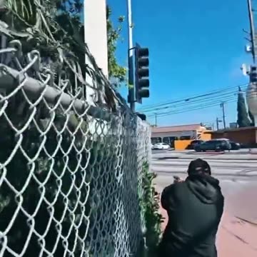 Switched to Live Fire — Shooting at Police. Seen This Movie Already — Predator 2 😂