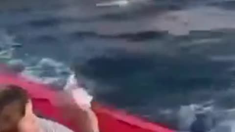 Greek coastguard vessel ramming a migrant dinghy near Samos