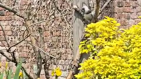 Marwell zoo winchester beautiful zoo 😍