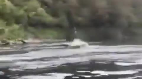 Looks Like Fun