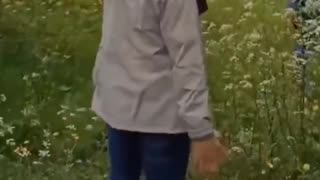 A group of liberals eat grass first, then make strange noises at a tree. We need to reopen