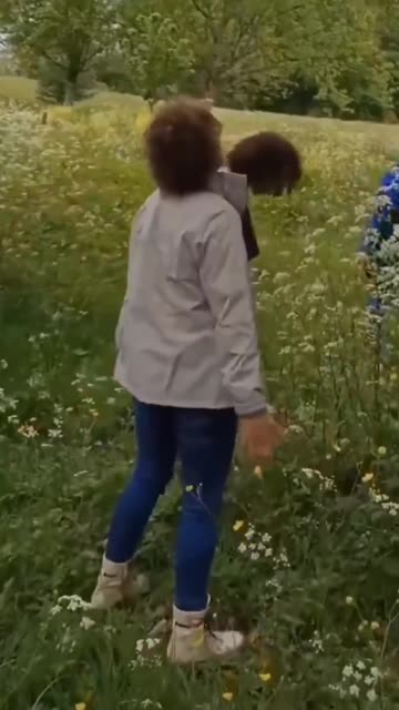 A group of liberals eat grass first, then make strange noises at a tree. We need to reopen