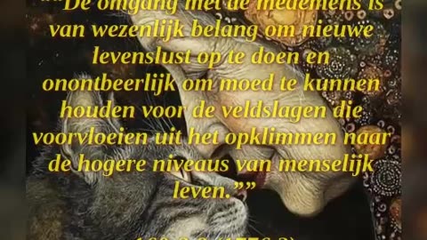 Vriendschap