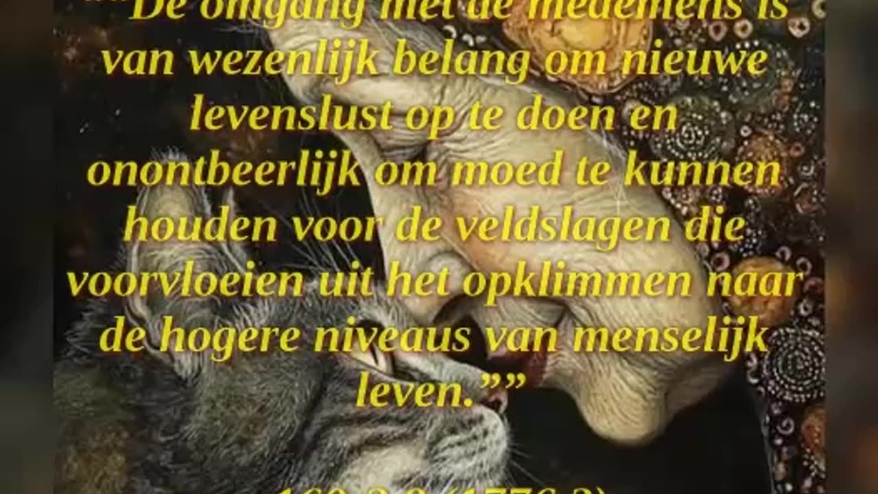 Vriendschap