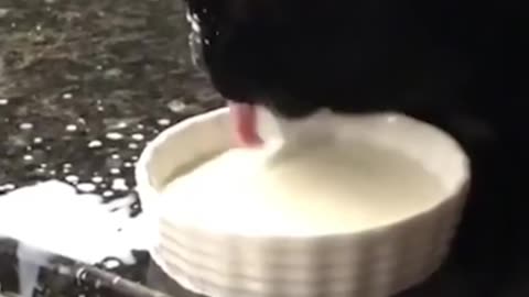 #funny