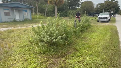 As I was Cleaning this Property it became clear that this was a Huge Hazard for the community P5