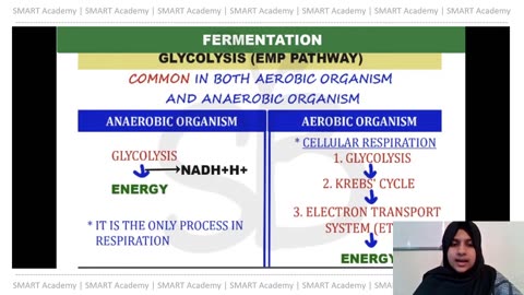 Plus Two Biology Chapter 12 Part 3