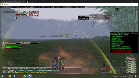 Playing Final Fantasy XI Online