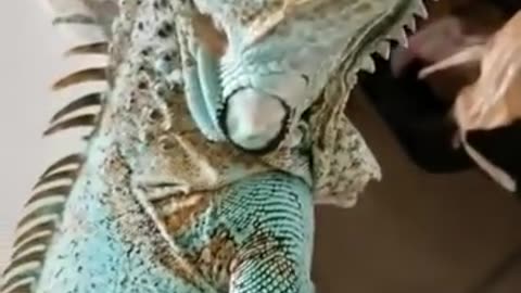 😂💩 You Won't Believe How This Shy Pooper Reacts! | FunFM