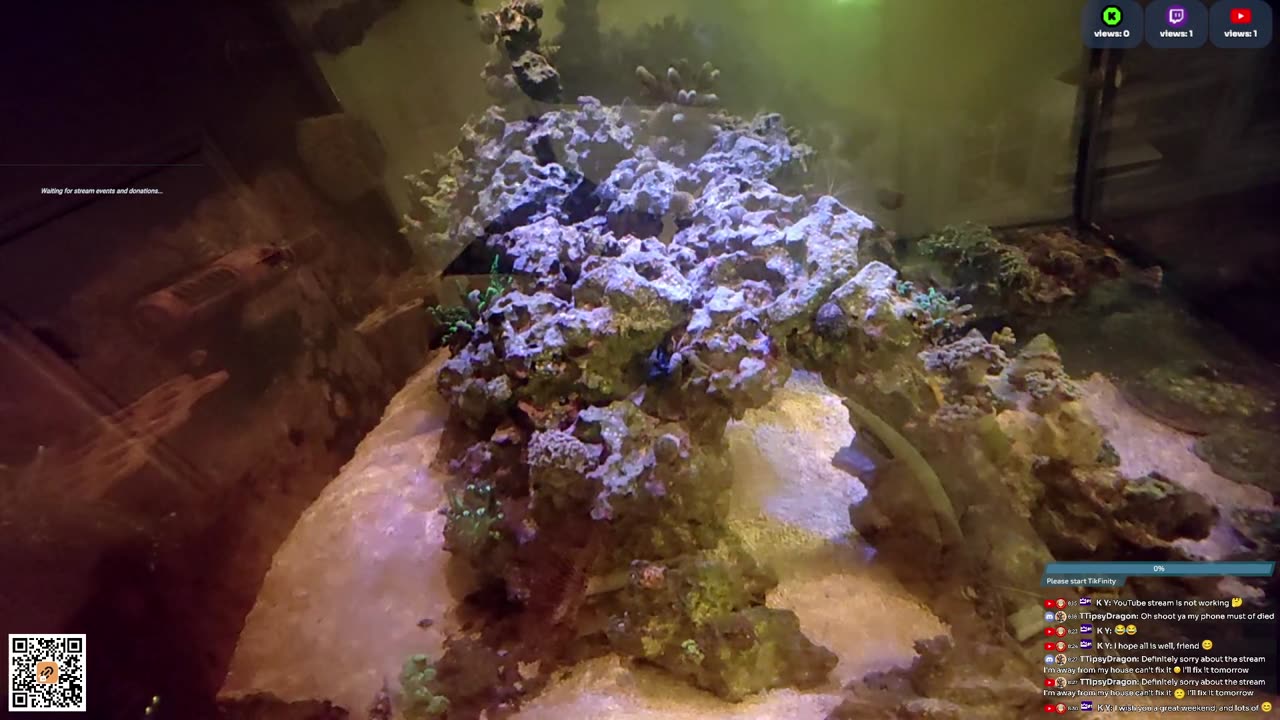 24/7 Real Live Reef Stream