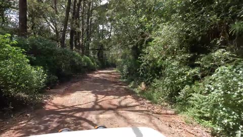 Road Trip toOoty avilanji அவலாஞ்சி ஊட்டி Nilgiris Mountain #ooty