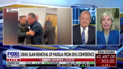 Liz Peek blasts Alex Padilla for telling ‘fabricated story' after arrest at DHS presser