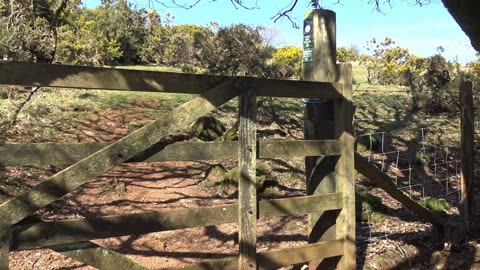 South Brent Walk to Brent Hill Dartmoor National park Devon England 20th March 2025.