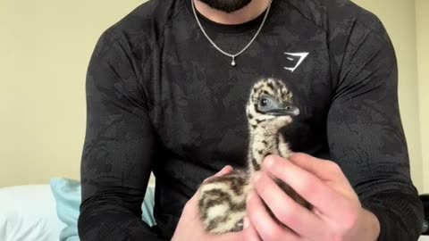 sexy man and his big bird