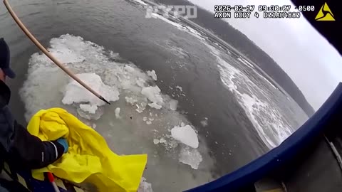 NYPD rescues injured bald eagle stranded on Hudson River