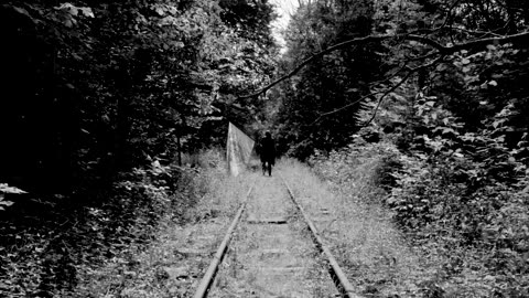 evergrey the grand collapse