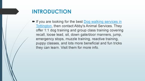 Best Dog walking services in Tottington