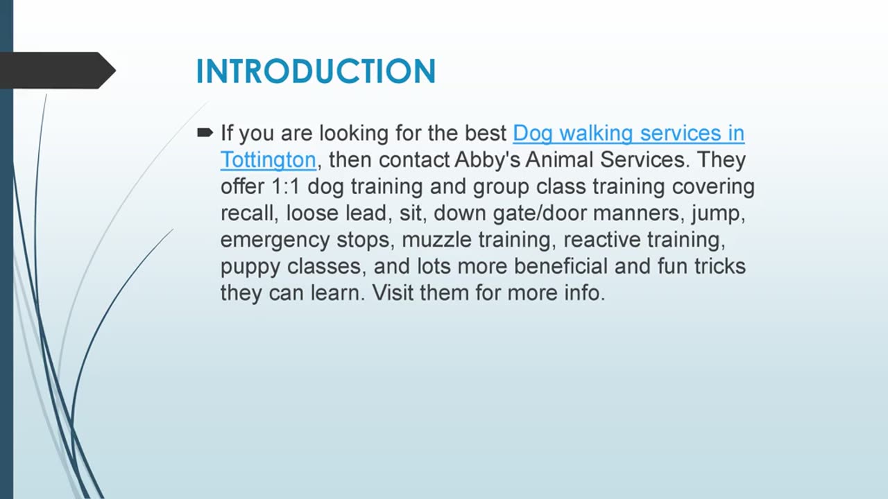 Best Dog walking services in Tottington