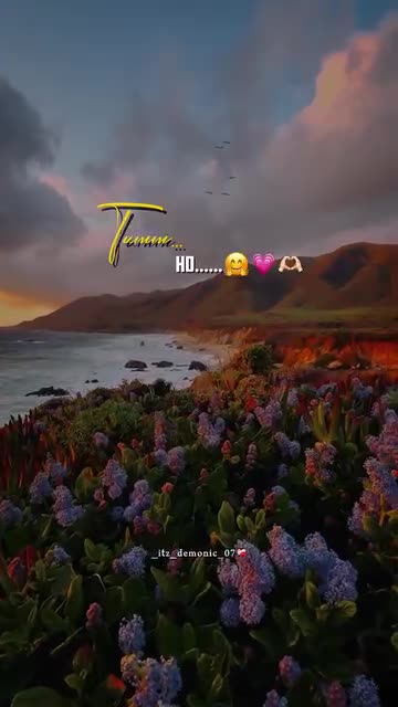 🥺💓Tum hoo🥺🥺🤌🏻👇🏻💓❤️